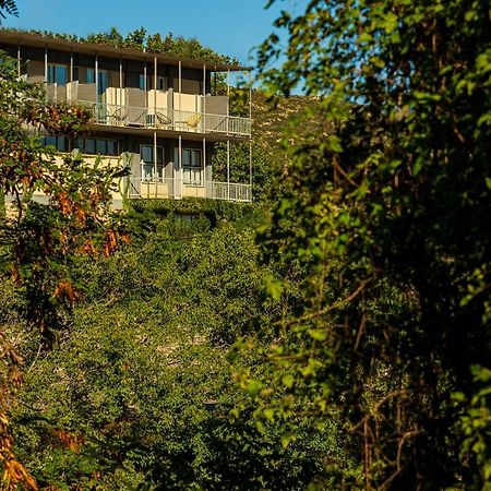 Theoxenia Hotel Andritsaina Bagian luar foto